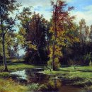 자작나무 숲 이미지