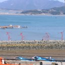 섬in섬 연홍미술관 이미지