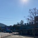 블루밀 망향비빔국수 포천 본점 | 망향비빔국수 연천본점 솔직후기