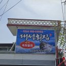 근덕대성회집 | [근덕 물회] 양도 많고 신선한 삼척 물회 맛집 추천 근덕 대성회집(feat. 삼척물회, 근덕물회, 장호물회)
