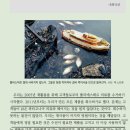 목화옷수선 이미지