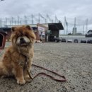 중앙자동차정비공업사 이미지