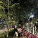 대왕아쿠아랜드 이미지