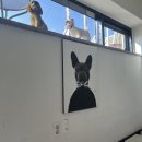 독앤트리 | {순천 애견카페 독앤트리}찐 솔직 후 기