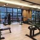 프리미어 피트니스 이미지