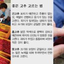 경북고추