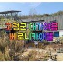 베로니카애뜰
