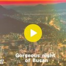 Dynamic Busan 다이나믹부산(부산의밤) 이미지
