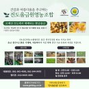 진도원조울금사업소 네이버블로그