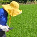 원주굽이길 17코스 동화마을진달래길 이미지