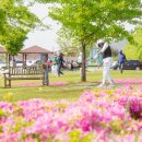 구미파크골프장 이미지