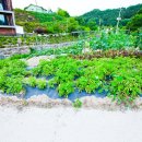 썬베네스트 이미지