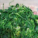 18  엄마 반찬 이미지