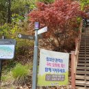 쌍용터널 앞 이미지