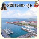 에메랄드로 | 일본 미야코지마 가성비 숙소 찾는다면? 아톨에메랄드 호텔 솔직 후기