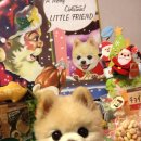 예쁜강아지 이미지