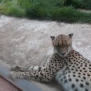 도구머리공원1-2 이미지