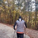 433 | 🍁 남양주 운길산 가을등산 / 수종사 11월 단풍 후기