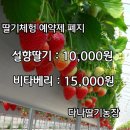 버드내유치원 이미지