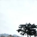 행복메아리