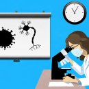 제주대학교 보건복지대학원 이미지