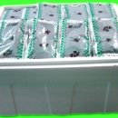 삼복농장 이미지