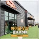 쥬니애견 | 김포 강아지카페 실내애견운동장이 있는 하이포우즈