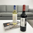 디케이(DK)골프