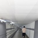 산책가는길 이미지