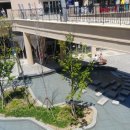 일산호수공원 가로수길 이미지