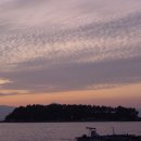 마량초등학교 이미지