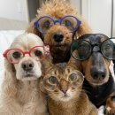 디카활용 주말 | 3월,, 나도 이제 내가 앞으로 뭘 더 할지 모르겠어요