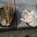 건강여관 이미지