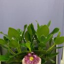 합성동273 이미지