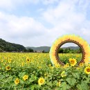 사임당로 15 이미지