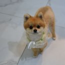 덕배쌀롱