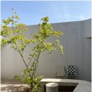 낮은정원 이미지