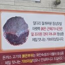 조리장진치참치 | 부천 냉면맛집 비빔냉면 돈까스조합 못 참치 삼복가본점 재방문 후기