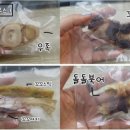 와와네 수제간식 이미지