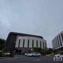 유동짬뽕 | [내돈내산] 제주도 호텔난타 레스토랑 후기 - 조식 뷔페, 옥돔구이와 성게미역국, 해물짬뽕 솔직후기