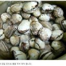 밥도둑 Daum카페