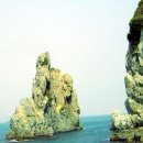 금목조경