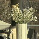 구릉 | 경주 나들이 한옥 카페 구릉 , 사르르 녹는 딸기 수플레와 함께.