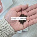 성공2 | 부산 해운대 다이어트한의원 다이어트한약 일주일 2kg 감량 성공 후기