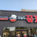 오늘도 꿉자 - 포항시 북구 | 오늘도 꿉자