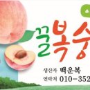 윤애드 - 사천시 | 윤애드