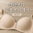 감탄브라 추천인 ID 혜택 도톰 인견쿨 후크형 브라 내돈내산 후기