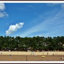 꾸지나무골해수욕장 이미지