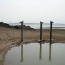 나문재관광농원 이미지