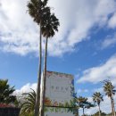 주리Sea 협재 이미지